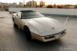 Szampańska Corvette C4 1985 - zdjęcie pojazdu