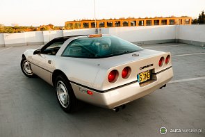 Szampańska Corvette C4 1985 - zdjęcie pojazdu